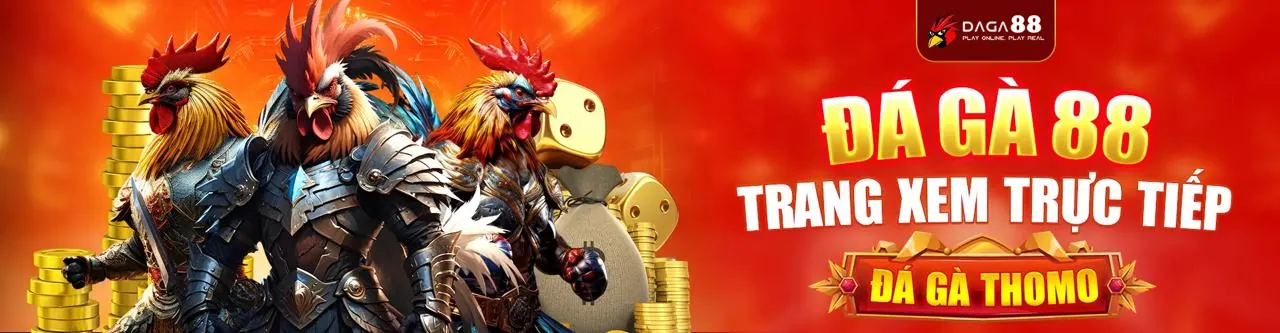Dịch vụ hỗ trợ khách hàng 888now14 24/7 chuyên nghiệp